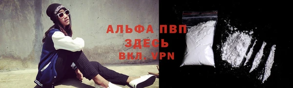 сатива Белоозёрский