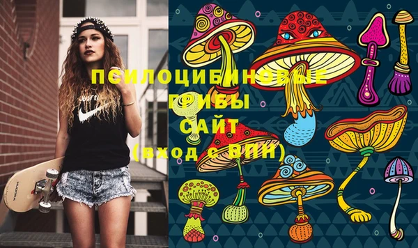 сатива Белоозёрский